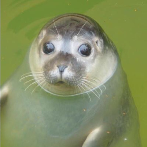 Hi, I’m Michelle❣️ - Picture 8 of 13